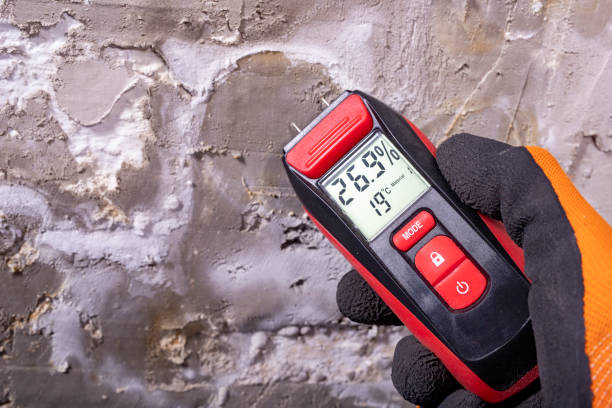 Best Post-Remediation Services in New Richmond, WI