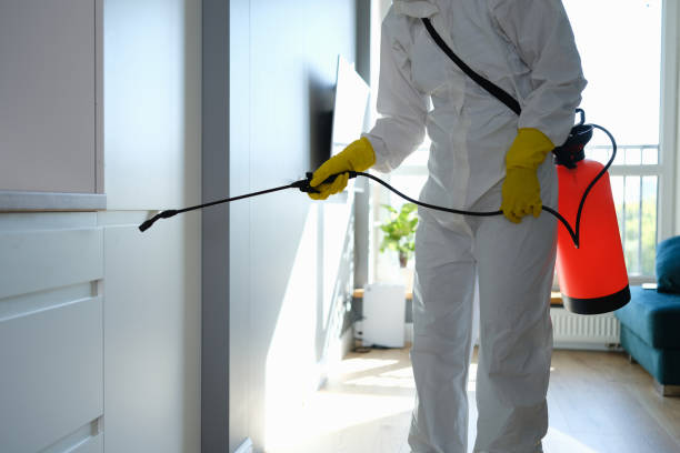 Best DIY Mold Remediation Support Services in New Richmond, WI