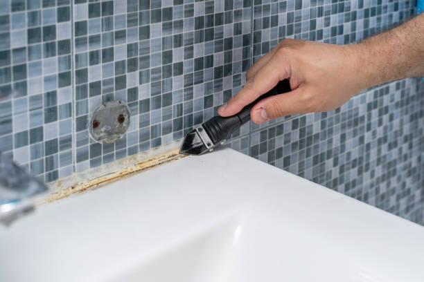 Best Mold Testing and Inspection Services in New Richmond, WI
